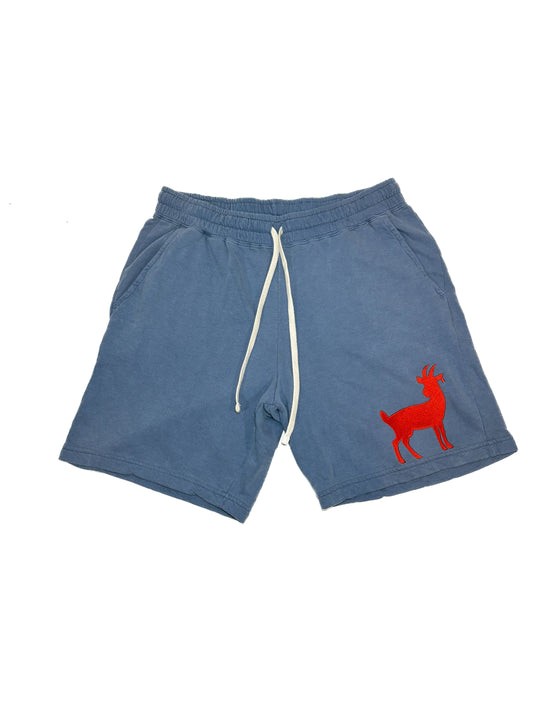 Goaty Classic Shorts – Sky Blue / Red Logo